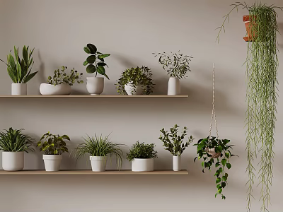 Indoor Plants Display On White Shelves With Hanging Greenery And Various Potted Plants 3d model