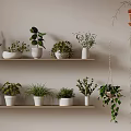 Indoor Plants Display On White Shelves With Hanging Greenery And Various Potted Plants
