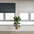 Stylish Dark And Light Roller Curtains For Windows With Green Plant 3d model
