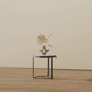 Side 3d model