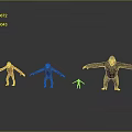 Various Sizes Primate Animal Models Standing In Gray Background With Reflective Floor