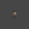 Realistic Tyrannosaurus Dinosaur Figure With Detailed Skin And Open Mouth