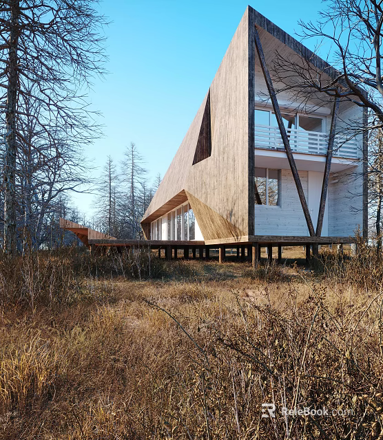 Modern Detached Villa With Slanting Wooden Roof And Stilted Base In Natural Woods 3d model 