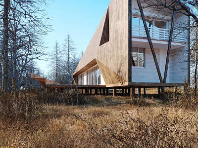 Modern Detached Villa With Slanting Wooden Roof And Stilted Base In Natural Woods 3d model