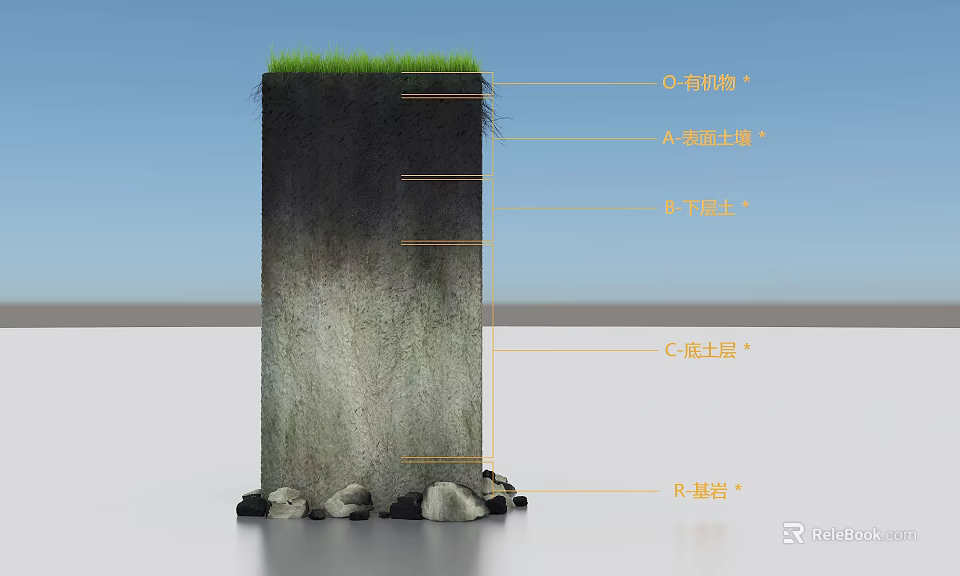 Detailed Soil Profile Structure With Grass Organic Matter Topsoil Subsoil Clay Layer And Bedrock 3d model 