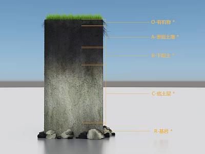 Detailed Soil Profile Structure With Grass Organic Matter Topsoil Subsoil Clay Layer And Bedrock 3d model