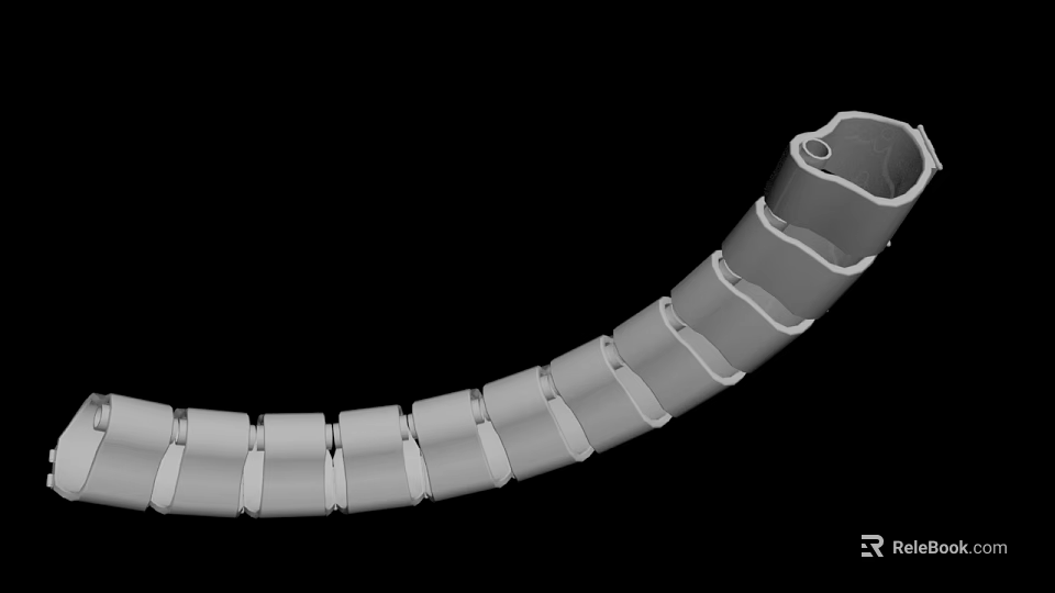 Detailed Flexible Curved Segmented Tubular Structure Design For Medical Applications 3d model 