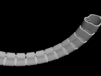 Detailed Flexible Curved Segmented Tubular Structure Design For Medical Applications 3d model