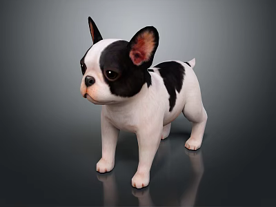 Adorable Black And White French Bulldog Puppy Standing On Shiny Surface 3d model