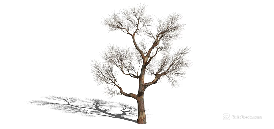 Tall Leafless Deciduous Tree With Spreading Branches Thick Trunk And Shadow On Ground 3d model 