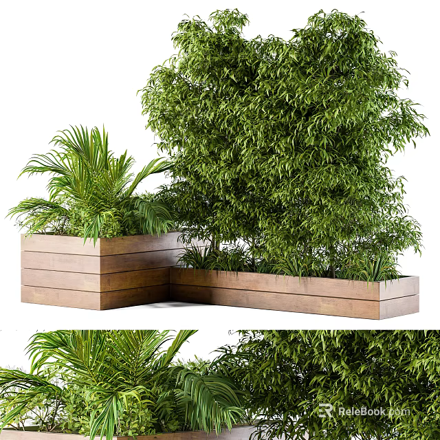 Bonsai Potted Plants in Wooden Planter with Lush Green Foliage and Palm Leaves 3d model 