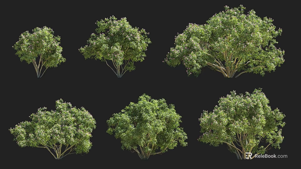 Various Forms Of Lush Green Shrubs For Garden Landscaping Projects 3d model 