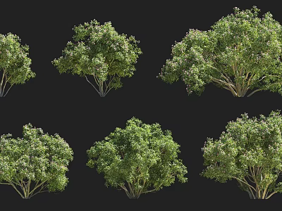 Various Forms Of Lush Green Shrubs For Garden Landscaping Projects 3d model