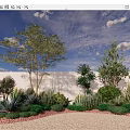 Outdoor Garden Plant Combination With Trees Shrubs Succulents And Pebble Ground