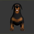 Realistic 3D Dachshund Dog Model In Black And Orange Standing Pose On Gray Background