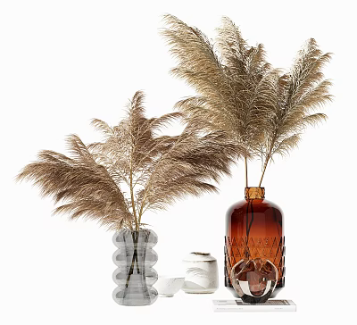 Feathery Pampas Grass In Brown And Clear Glass Vases With Decorative Textured Design 3d model