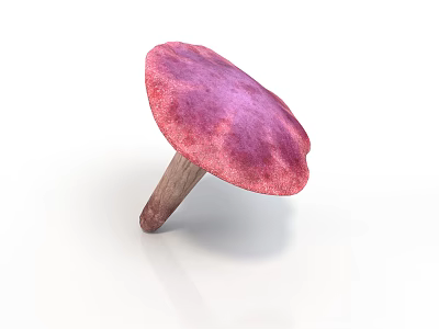 Vibrant Pinkish Purple Mushroom with Rounded Cap and Sturdy Stem on White Background 3d model