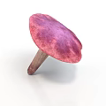 Vibrant Pinkish Purple Mushroom with Rounded Cap and Sturdy Stem on White Background