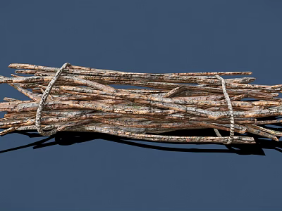 Bundled Dry Plant Twigs Tied Together With Natural Rope On Blue Background 3d model