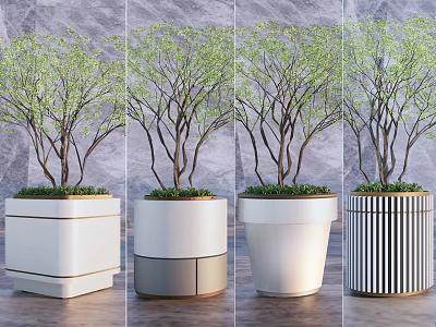 Various Modern Tree Planter Designs With Green Trees And Outdoor Settings 3d model