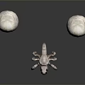White Spheres And Spider Like Skeleton On Gray Background With Reflection