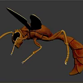 Realistic Orange Wasp 3D Model Featuring Detailed Wings Antennae And Body Features
