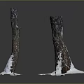Wooden Stone Sculptures Two Artistic Pieces With Snow Like Base On Black Reflective Background