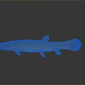 Golden Orange Aquatic Fish With Shiny Body Fins And Tail On Gray Background