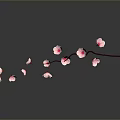 Elegant Curved Branch With Multiple Pink Flowers And Water Reflection On Gray Background