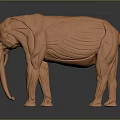 Orange Home Decor Furniture Elephant Model With Detailed Muscle Structure Design
