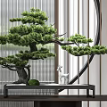Elegant Pine Bonsai Plant with White Deer Statue on Black Tray and Modern Background Decoration