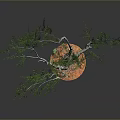 Green Foliage Plant with Multiple Trunks and Orange Base on Dark Background