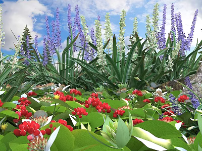 Vibrant Garden Flowers With Purple White Red Blooms And Lush Green Leaves Under Blue Sky 3d model