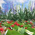 Vibrant Garden Flowers With Purple White Red Blooms And Lush Green Leaves Under Blue Sky