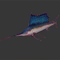 Swordfish With Long Bill And Blue Dorsal Fin On White Background
