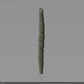 Tall Green Columnar Cactus Plant with Small Top Growth on Dark Background