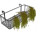 Hanging Potted Plants In Black Metal Wire Basket With Trailing Greenery