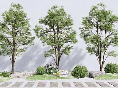 Three Arbor Trees With Green Leaves And Small Shrubs Near Stones On Paved Path 3d model