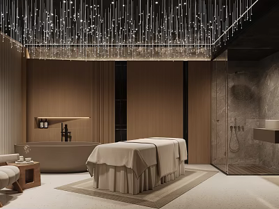 Luxury SPA Interior With Massage Table Bathtub And Starry Ceiling 3d model