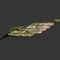 Layered Natural Landscape With Green Vegetation And Rocky Terraced Formations