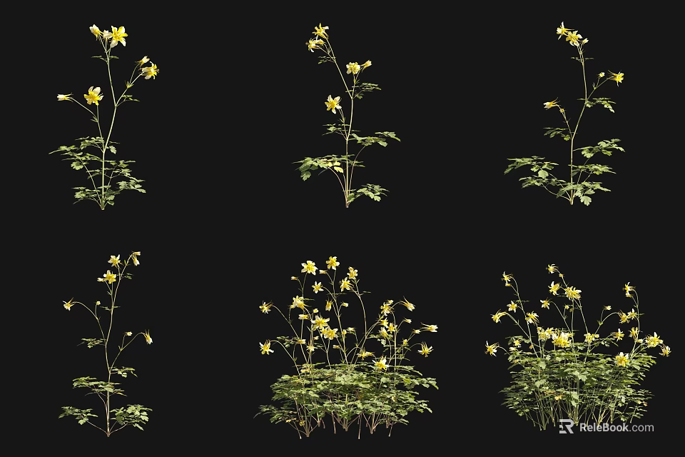 Yellow Flowering Plants With Green Leaves In Various Growth Forms On Black Background 3d model 