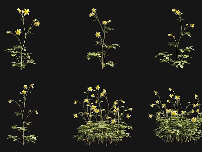 Yellow Flowering Plants With Green Leaves In Various Growth Forms On Black Background 3d model