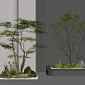 Leafy Plant Combination With Stones And Moss In Modern Interior