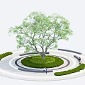 Circular Tree Pit With Large Tree Green Lawn Surrounding Shrubs And Circular Walkway 3d model