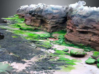 Coastal Rocky Landscape With Green Moss Covered Reddish Brown Cliffs And Sandy Puddles 3d model