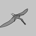 Dark Colored 3D Pterosaur Model With Spread Wings And Shadow