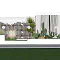 Modern Outdoor Plant Combination With Cactus Succulents White Planters Grid Wall And Green Lawn