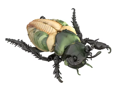 Close Up View Of Green And Beige Flying Beetle With Black Legs And Antennae 3d model