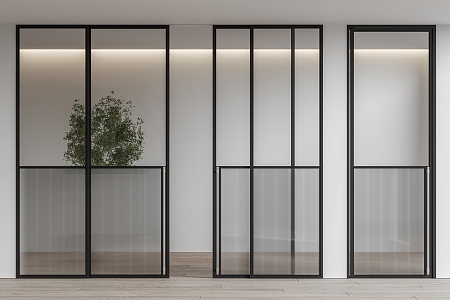 Modern Changhong Glass Door 3d model