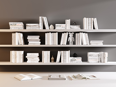 Modern Books 3d model